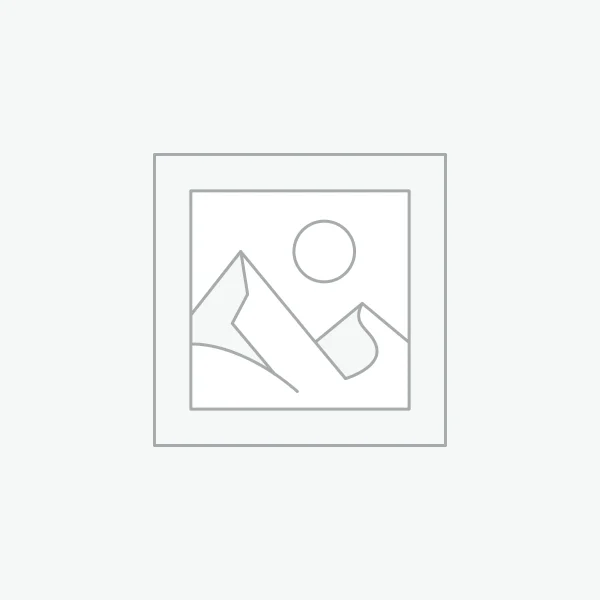 Automatic Push-arm Printing&Labeling Machine Labeler 等待产品的图片